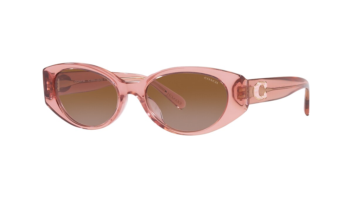 Coach discount sunglasses 2018